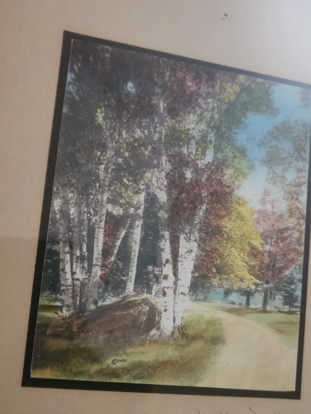Wallace Nutting Signed, Framed Birch Tree Colorized Photo in Antique Wood Frame